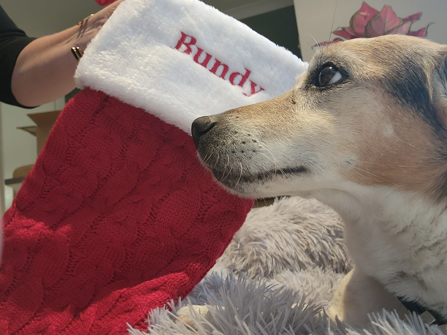 Personalized Christmas Stocking, Embroided Cable Knit Christmas Stocking with Fur Cuff, Custom Christmas Decor, Family Christmas Stockings, Pet Christmas Stocking with Hanging Loop
