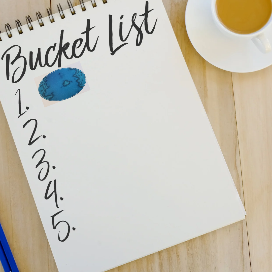 Great Barrier Reef Sticker, Heart Island Sticker, Bucket List Photo, Vision Board Ideas, Vacation Travel Sticker, Australian Landmark Holiday Places